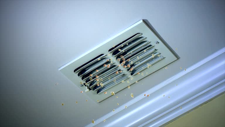 Best Best Air Duct Cleaning Company  in Tiffin, IA