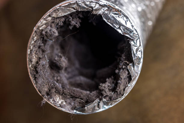 Best Residential Air Duct Cleaning  in Tiffin, IA