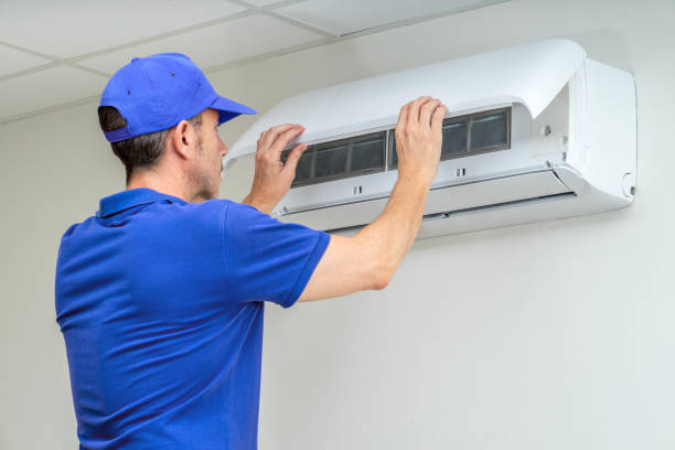Best Air Duct Mold Removal  in Tiffin, IA